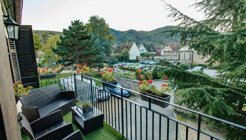 La Cure grand appartement familial 3 chambres avec terrasse et parking à 10 minutes de Colmar - Foto 1, Garden