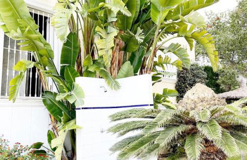 Beach Penthouse Apartment - Foto 74