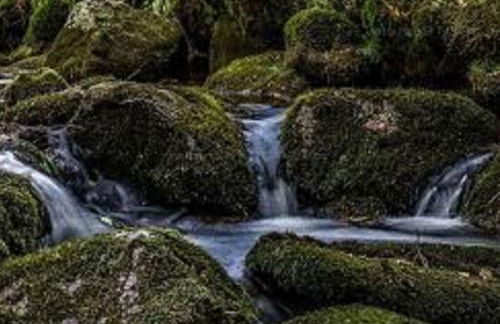 Family- friendly apartment in bavarian forest - Foto 34