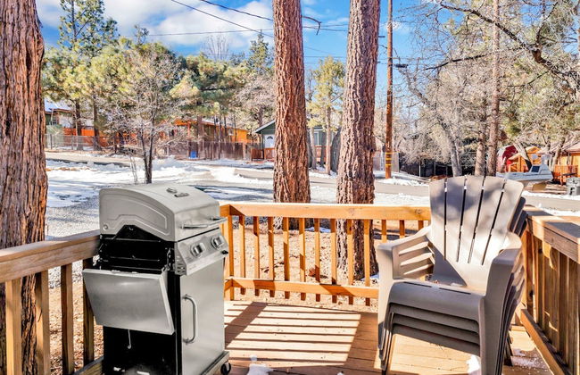 Sugar Bear Crossing #2496 - Foto 15