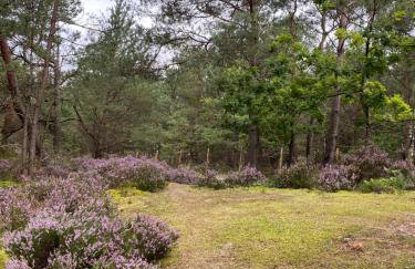 Apartament Nocuj w Rowach - Foto 40