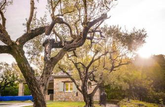 Villa La Jonche - Foto 67