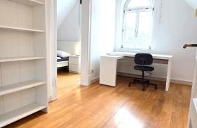 Großzügige Altbauwohnung mitten in der City - Foto 1