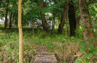 Pałac Kietlin - Foto 24