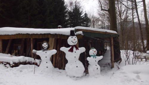 Das wilde Auwaldhaus - Foto 4