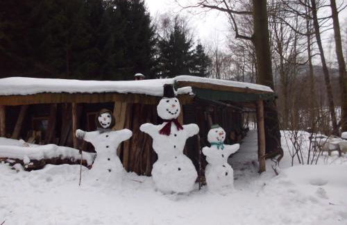 Das wilde Auwaldhaus - Foto 4