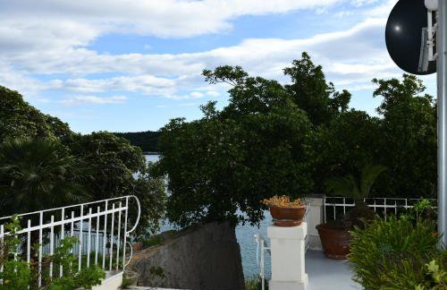 Apartment Dalija - Photo 10