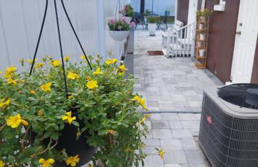 NICE PLACE Studio1 of 2 - Foto 16