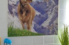 Ferienwohnung deine Auszeit im Allgäu - Foto 14