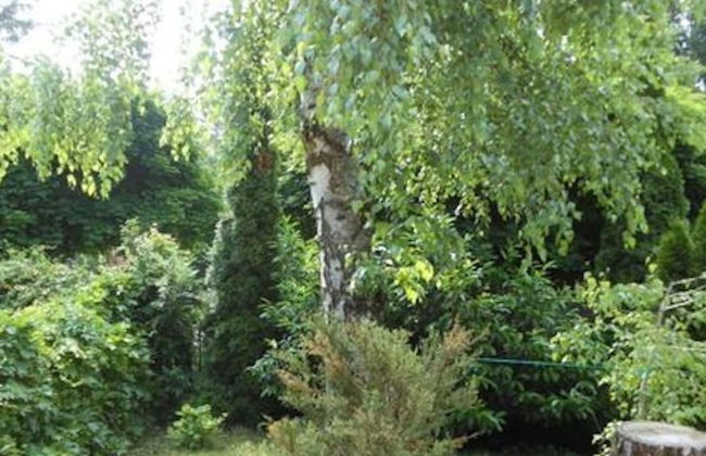 Cozy Family Cottage at the Lake Balaton - Foto 53