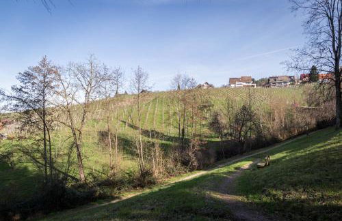 living TIMELESS - Adler Apartments Sasbachwalden - Foto 72