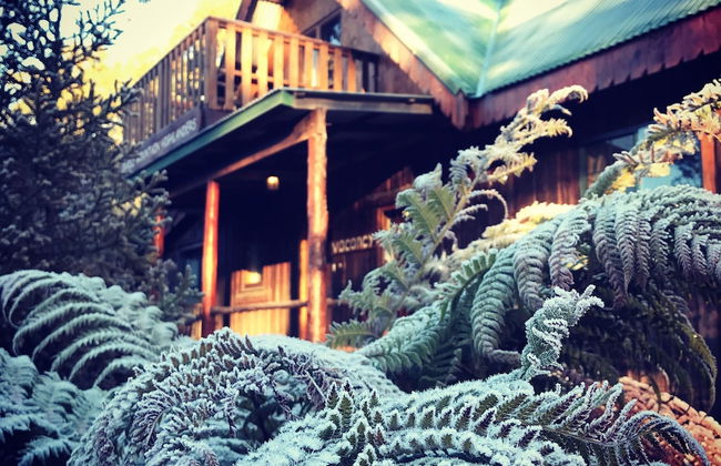 Cradle Highlander - Foto 2