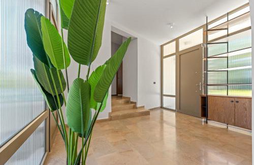 Albagiorno - Glykocharama - Photo 31