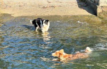 Chalé na beira da lagoa com vista - Photo 15