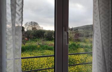 Marios house - Foto 30