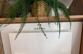 Zum Sterngässchen - Foto 48