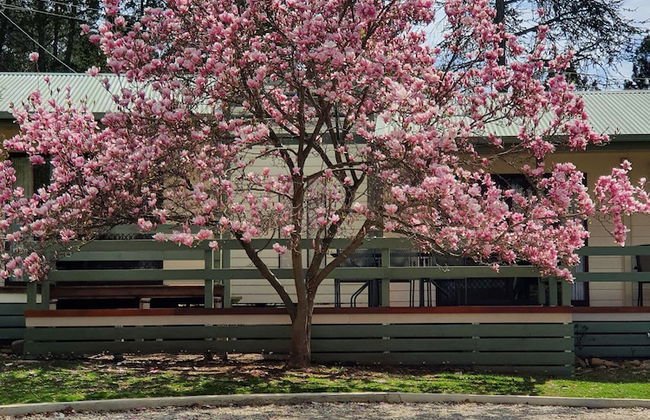 Golden Heritage Apartments Beechworth - Foto 26