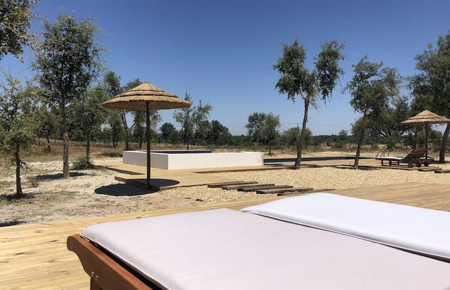 Tons da Terra - Foto 45