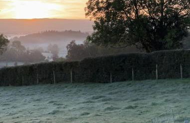 Owls Nook Barn, Luxury Barn with Hot Tub & Sauna - Foto 42