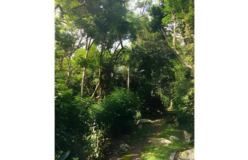 Matadeiro e Destino Floripa Suite - Foto 10