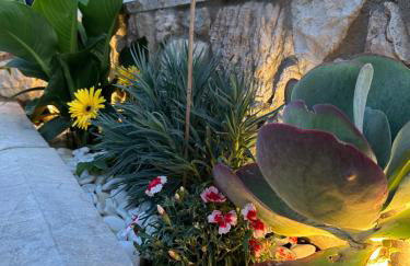 Haris Suites - Photo 14