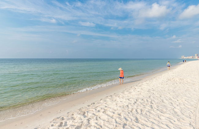 Phoenix VII 1416 - Foto 101