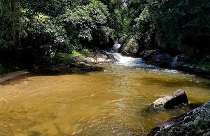 Fazendinha Paraíso - Foto 15