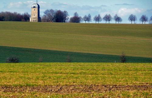 Casa Felicitas Fewo und Studio - Photo 20