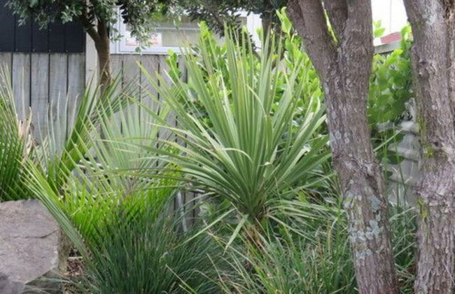 Blue Wave Motel Mount Maunganui - Foto 32