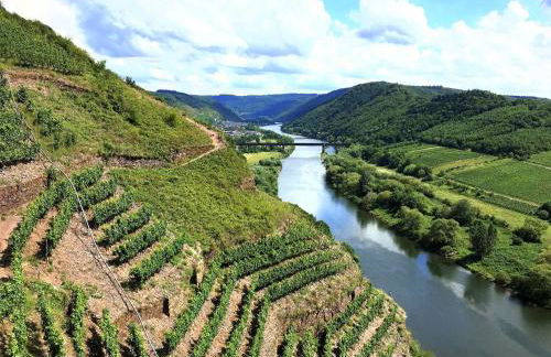 Ferienhaus Kaimt Zell - Foto 54