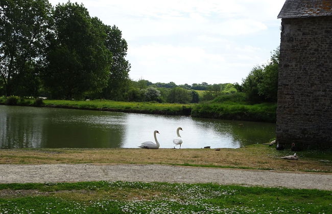 Manor in Cotentin With Historic Charm - Foto 31
