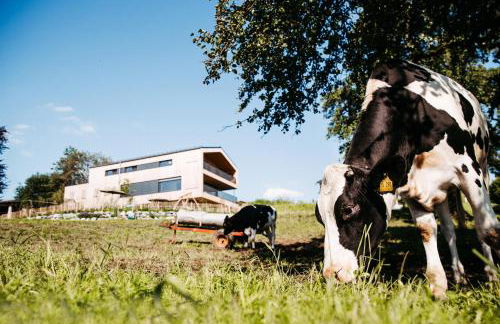 Ferienwohnung Anneliese - Foto 15