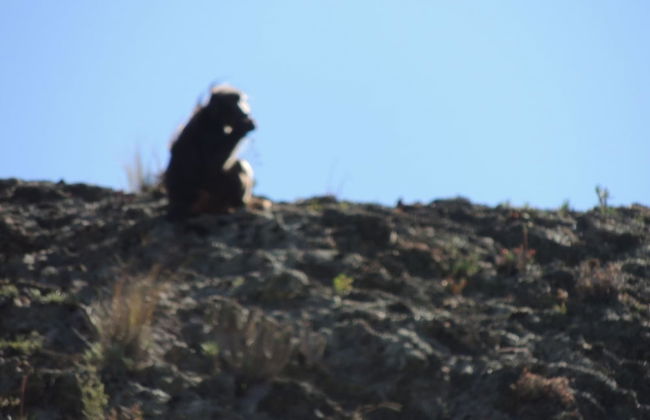 Cango Retreat - Foto 47