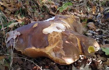 Casa vacanza zia Ersilia - Foto 48