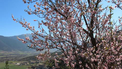 Casa D'arte - Foto 4