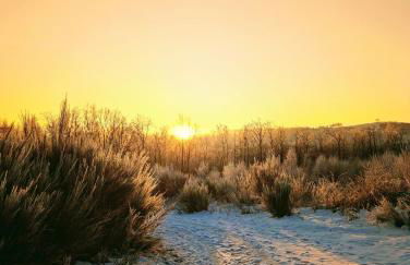 Ferienwohnung Jansen - Foto 41