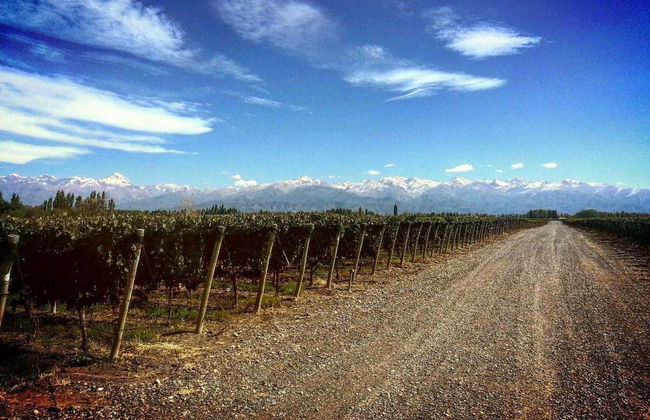 Tour privato delle cantine di Maipú - Foto 6