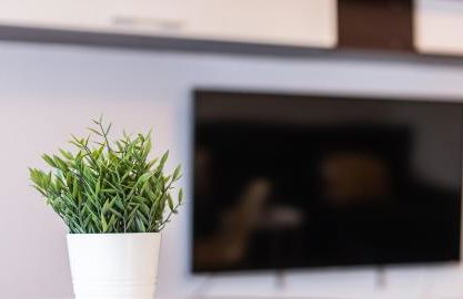 Adaptado y cómodo apartamento en Iturrama - Photo 3