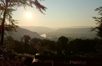 Stadt und Wald - Photo 14