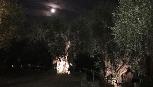 Villaggio RTA Borgoverde - Foto 4, Garden