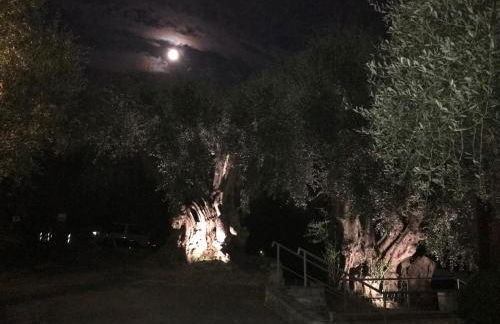 Villaggio RTA Borgoverde - Foto 4