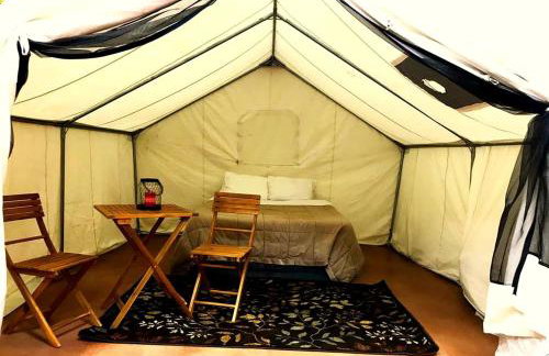Unique Glamping Tent for Two near World Equestrian Games in Mill Spring, North Carolina - Foto 1