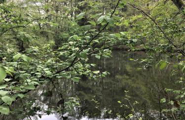 Bauernhofurlaub bei Familie Bokeloh - Foto 8