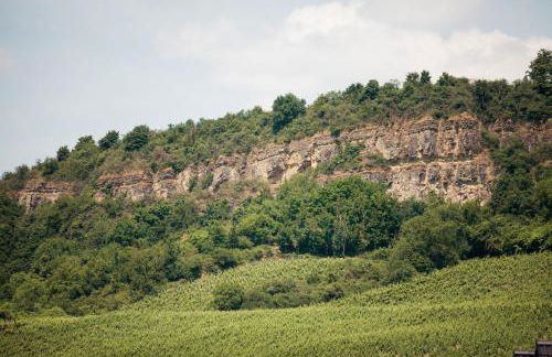 Ferienhaus Müller - Foto 27