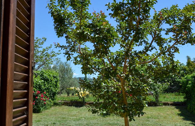 La Fraschetta - Foto 53