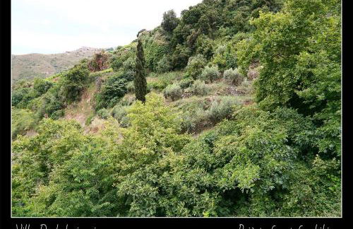 Villa Daskalogianni - Foto 54