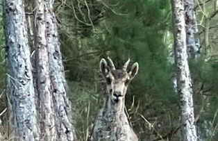 Casas Rurales Mirador del Rio Zumeta - Foto 59