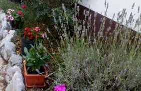 Apartments Jurić - Zablaće - Foto 28