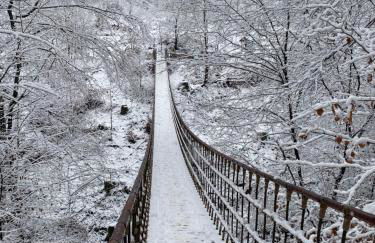 Ferienwohnung Bienengarten - Foto 9