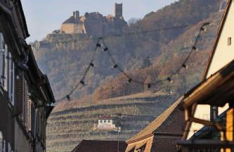 La Maison des Tanneurs - Foto 54